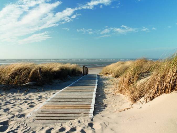 Ein malerischer Weg, der sanft zur Ostsee führt, umgeben von grünen Pflanzen und dem sanften Rauschen der Wellen.