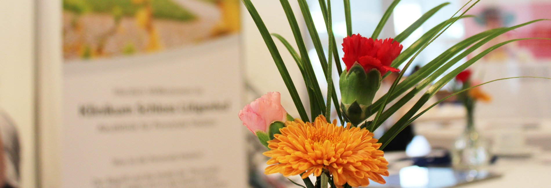 Gesundheitstag in der Hansestadt Lübeck